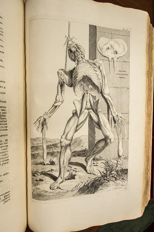 Andreas Vesalius Opera Omnia Anatomica & Chirurgica 1725.